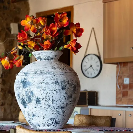 Vasiliki Cozy & Modern House View